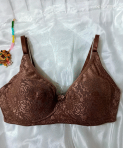 Delicate Elegance Embroidered Net Cotton Padded Bra | Sensational Comfort Net Bra | Luxurious Full-Cup Coverage Underwired Soft Padded Bra